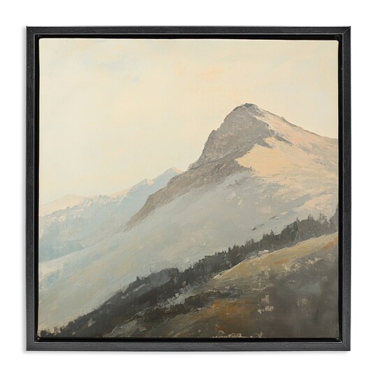 Stupell Industries; Stupell Industries Mountain Vista Cliff Landscape Floating Frame, design by Petal Prints Design; Category:Framed Art; Image:1